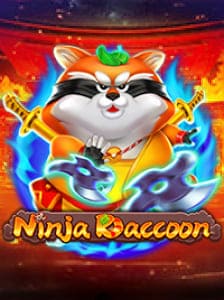 Ninja Raccoon